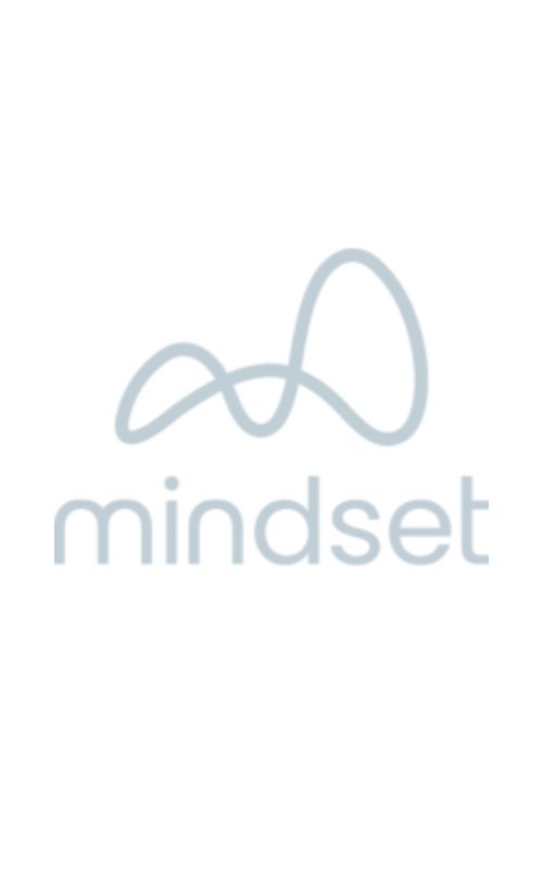 Mindset