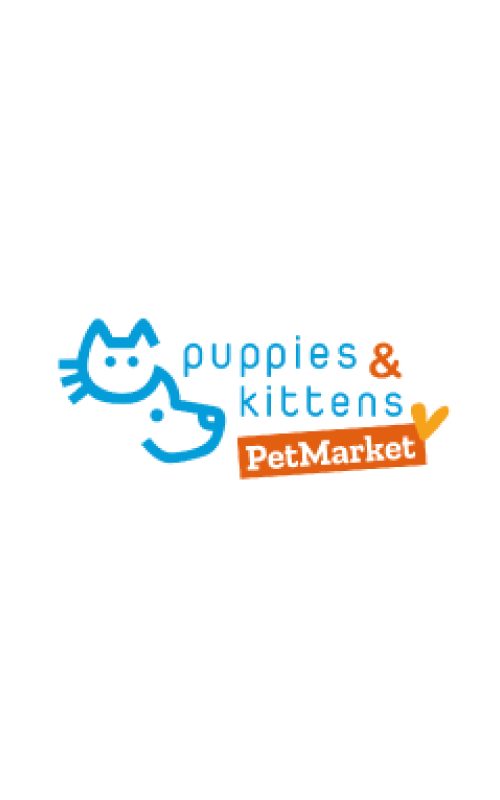 Puppies & Kittens