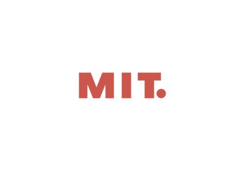 MIT Burger